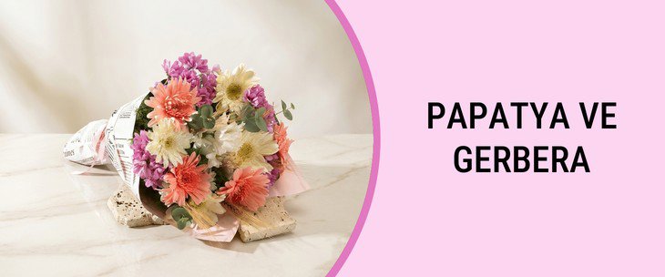 PAPATYA VE GERBERA