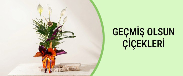 GEÇMİŞ OLSUN ÇİÇEKLERİ